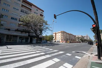 an empty street with a traffic light and a crosswalk at El Rosal de Huertas in Cádiz