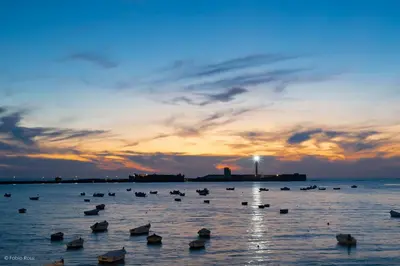 a group of ducks in the water at sunset at Aire del Sur Cádiz in Cádiz