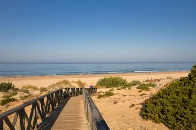 a wooden boardwalk leading to a beach with the ocean at Frambuesa by Cádiz Time in Chiclana de la Frontera
