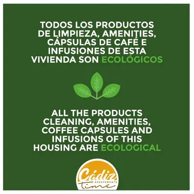 a green poster with a plant in the middle at Brisa de Verano by Cadiz Time in Cádiz
