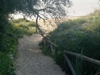 a sandy path leading to a beach with a fence at Apartamento Jara, playa, piscina, AC, Wi-Fi in Sanlúcar de Barrameda