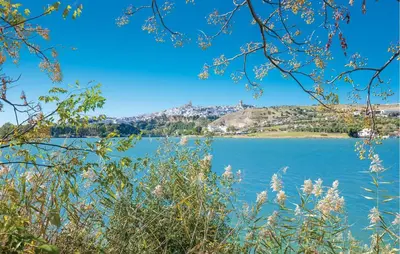 a view of a lake from a tree at Casa Chico in Arcos de la Frontera