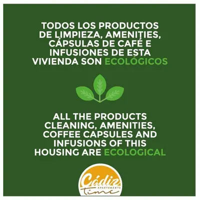 a green poster with a plant and the wordsynthesis at Apartamento El Patio by Cadiz Time in Cádiz