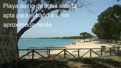 a beach with people in the water and a tree at Piso a buen precio con 3 HABITACIONES in Puerto Real