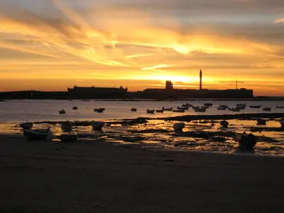 a group of birds sitting on the beach at sunset at ALBA Apartment by Cadiz4Rentals in Cádiz