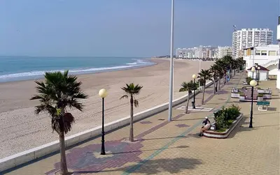 a beach with palm trees and a person sitting on a bench at Apartamentos Patio Andaluz El pozito in Rota