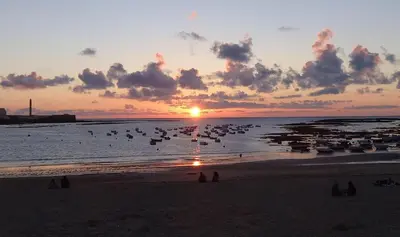a sunset on the beach with birds in the water at Apartamento La PALMA free parking by Cadiz4Rentals in Cádiz
