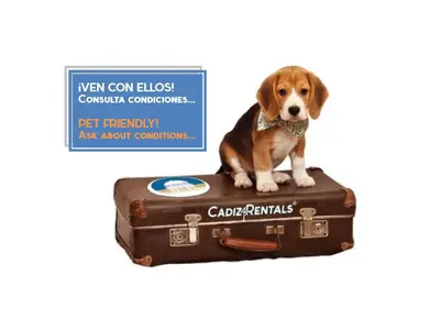 a dog sitting on top of a suitcase at La Herencia del REGIDOR by Cadiz4Rentals in Cádiz