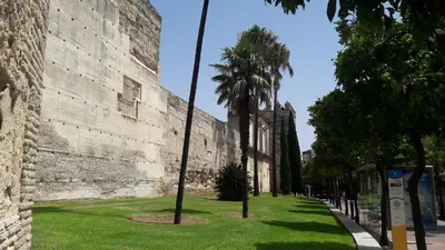 a street with palm trees next to a building at Sherryflat Los Cisnes in Jerez de la Frontera
