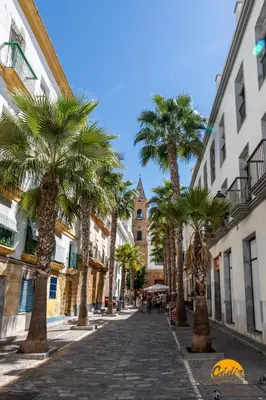 a cobblestone street with palm trees and a church at Apartamento Caleta - FREE PARKING by Cadiz Time in Cádiz