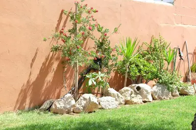 a garden with rocks and plants next to a wall at Apartamento con Piscina ADULTS ONLY in Chiclana de la Frontera