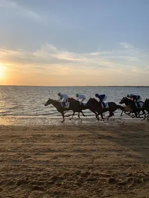 a group of people riding horses on the beach at Casa Miguel - Apartamento 4 in Sanlúcar de Barrameda