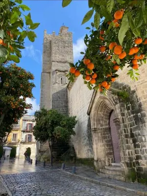 Gallery image of Sherryflat Herráiz-Parking in Jerez de la Frontera