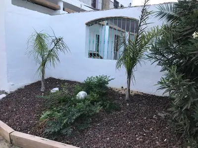 a garden with two palm trees in front of a building at Conil Colorado 1 rústico y económico in Conil de la Frontera