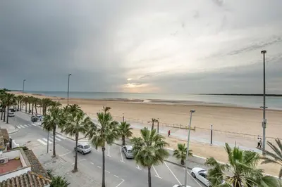 a street with palm trees and a beach at Arenas de Sanlúcar in Sanlúcar de Barrameda